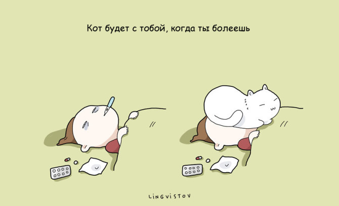 21 преимущество иметь кота