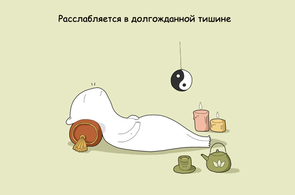 Чем занимается мой кот, пока меня нет дома