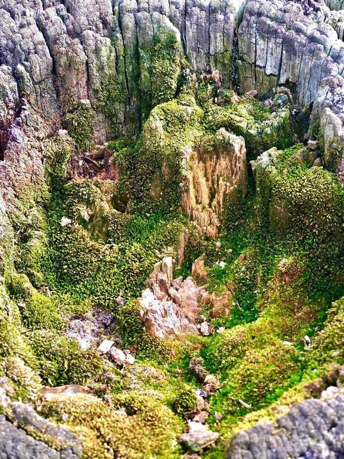 Вещи не такие, какими кажутся