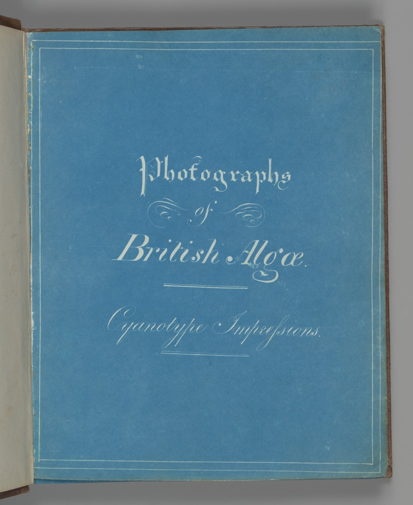 Синяя титульная страница книги Photographs of British Algae с белыми рукописными буквами и тонкой рамкой.